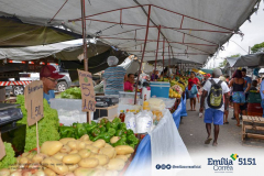 Visita-à-feira-do-Conj.-Medici-2